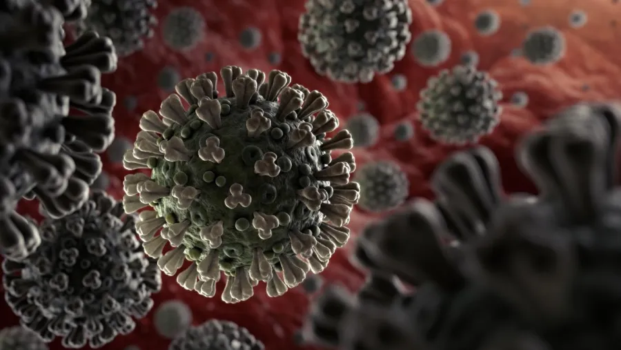 coronavirus coronavirus