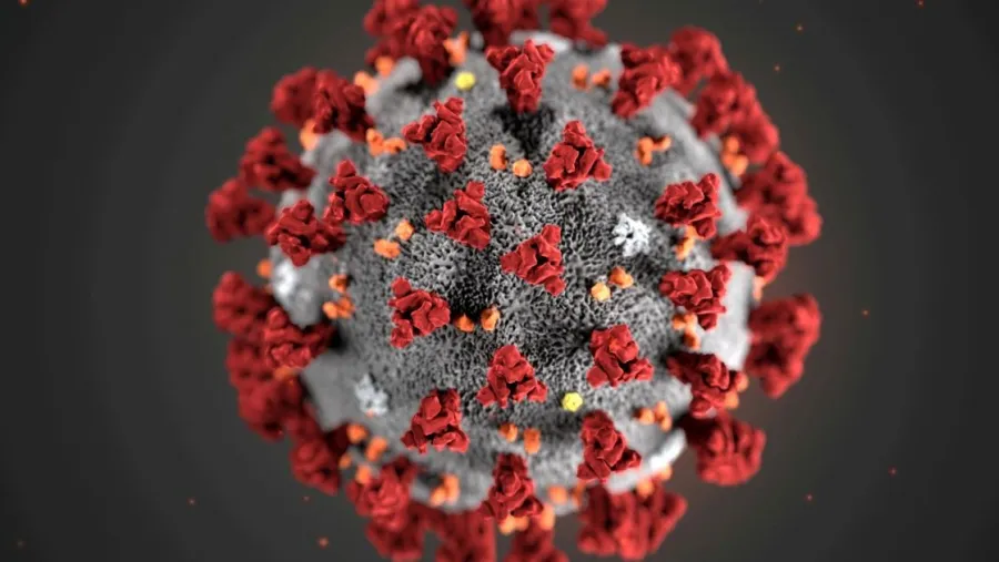 Coronavirus Coronavirus