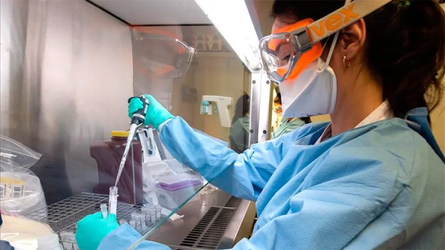 coronavirus laboratorio coronavirus laboratorio