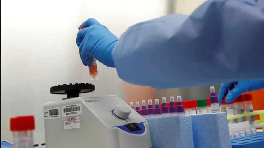 coronavirus coronavirus