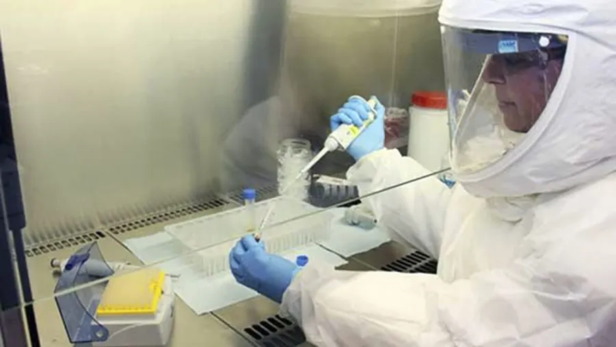 coronavirus coronavirus