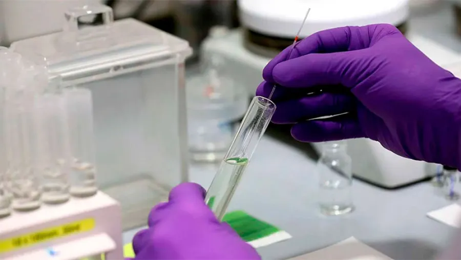 coronavirus laboratorio