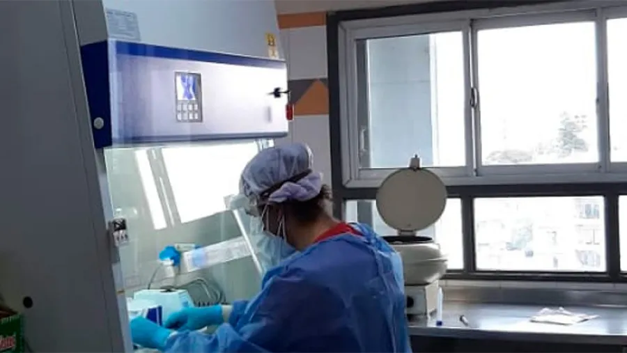 laboratorio Hospital San Roque laboratorio Hospital San Roque