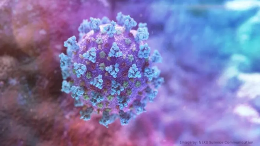 coronavirus coronavirus