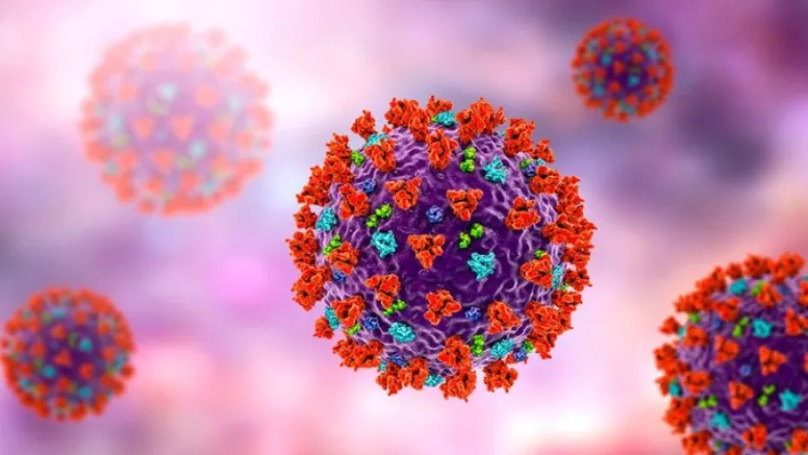 coronavirus célula coronavirus célula