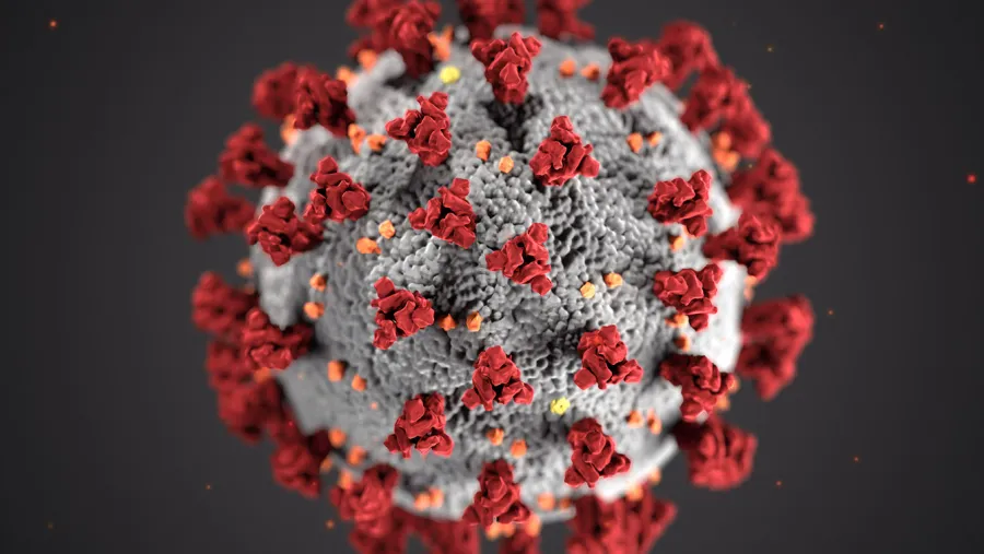 Coronavirus Coronavirus
