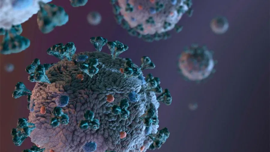 El coronavirus podría ser más o menos grave según cuál sea, de acuerdo a un estudio británico. El coronavirus podría ser más o menos grave según cuál sea, de acuerdo a un estudio británico.