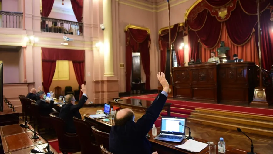 sesión virtual Diputados sesión virtual Diputados
