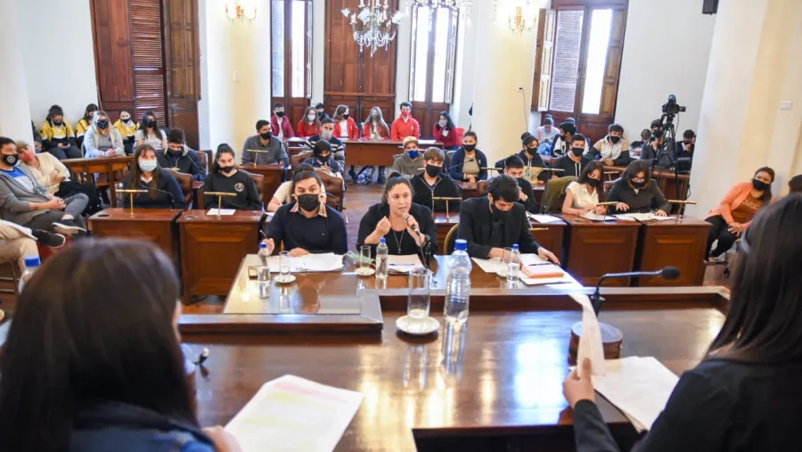 Concejo Deliberante Estudiantil Concejo Deliberante Estudiantil