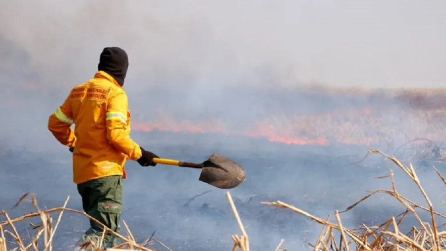 Incendios Incendios