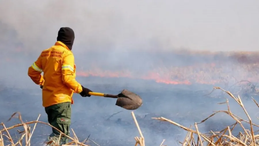incendios incendios