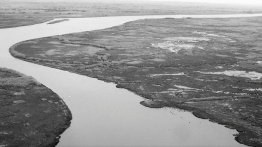 Delta Delta