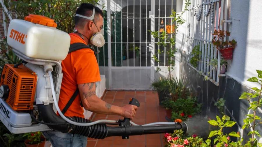Detectaron un nuevo caso de dengue importado en Paraná Detectaron un nuevo caso de dengue importado en Paraná
