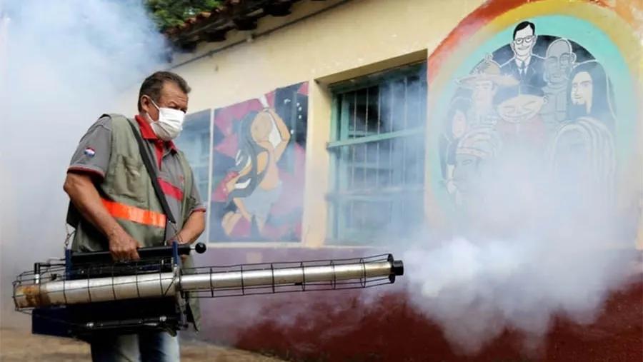 Paraguay es el país más afectado por el brote de dengue. Paraguay es el país más afectado por el brote de dengue.