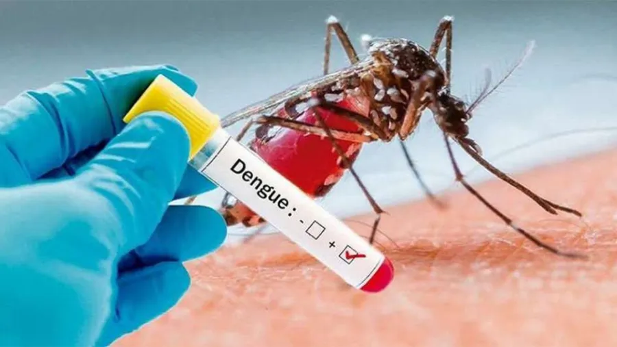 Los diagnosticados con dengue en todo el país suman 36 personas, según el Ministerio de Salud de la Nación. Los diagnosticados con dengue en todo el país suman 36 personas, según el Ministerio de Salud de la Nación.