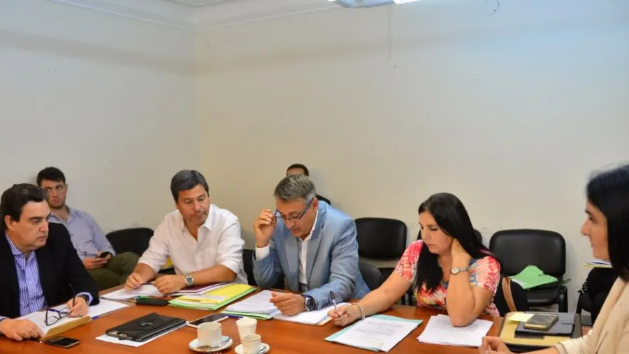 diputados diputados