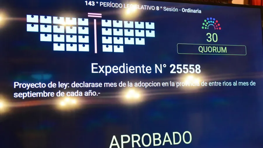 Diputados Diputados