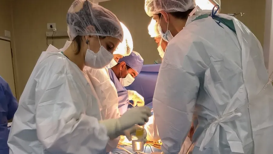 Una nueva donación de órganos y tejidos en Paraná beneficiará a seis pacientes Una nueva donación de órganos y tejidos en Paraná beneficiará a seis pacientes