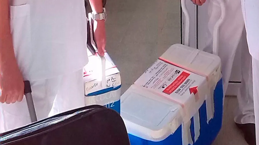 Se realizó el segundo operativo de ablación del fin de semana en Paraná
