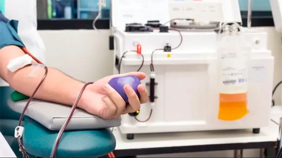 donación de plasma donación de plasma