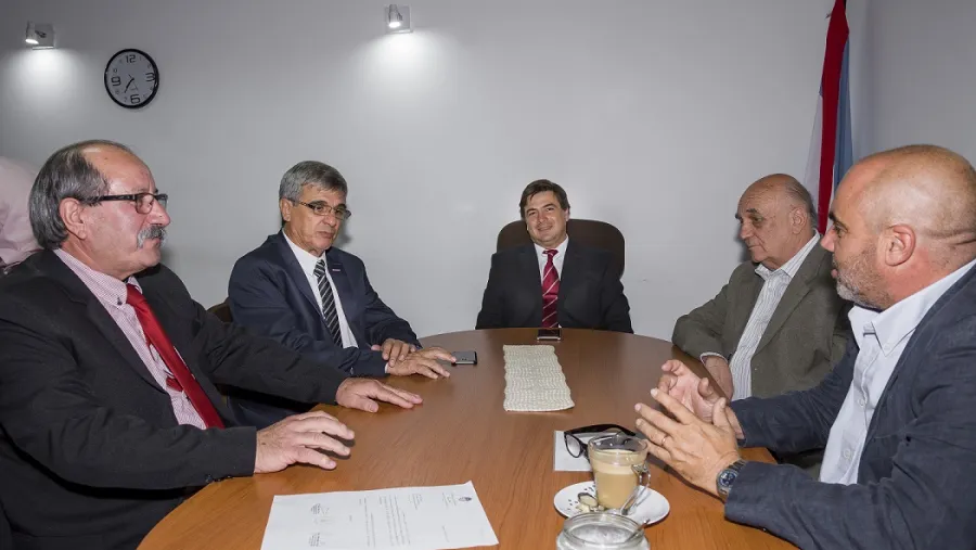 Senadores Senadores