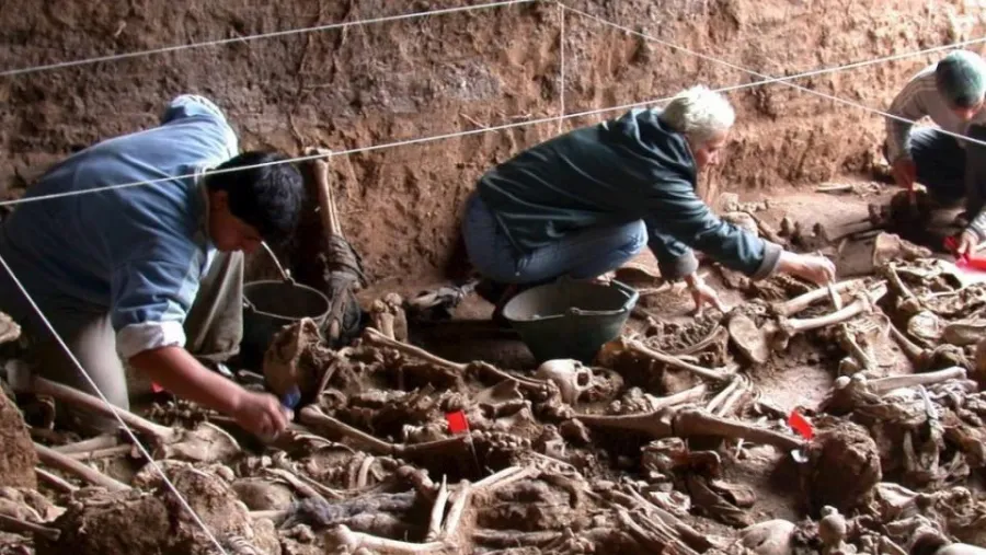 Equipo Argentino de Antropología Forense Equipo Argentino de Antropología Forense