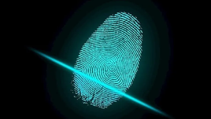 Informática forense Informática forense
