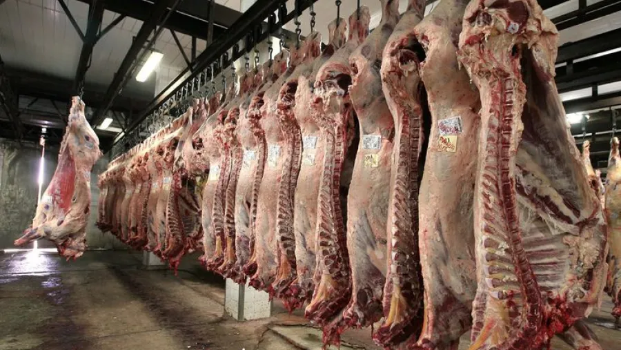 Sector cárnico insistió que Bordet interceda ante Nación para normalizar las exportaciones Sector cárnico insistió que Bordet interceda ante Nación para normalizar las exportaciones