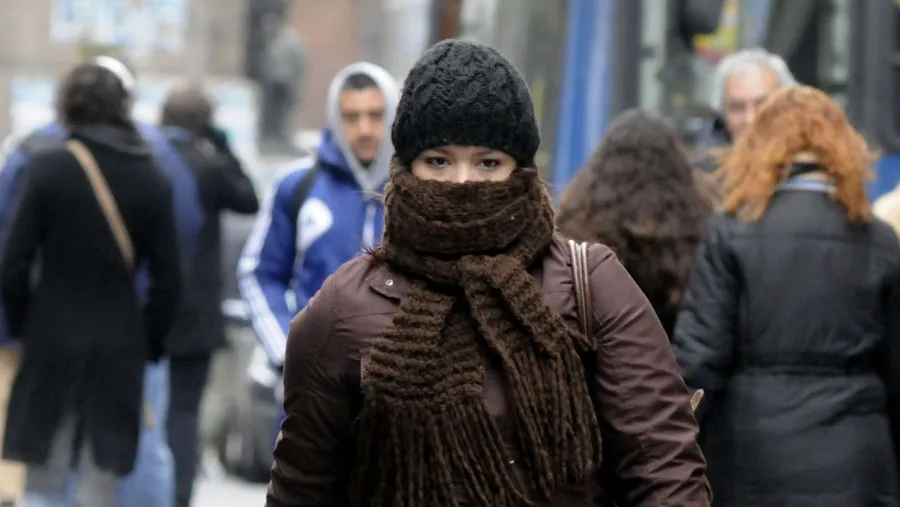 frio frio