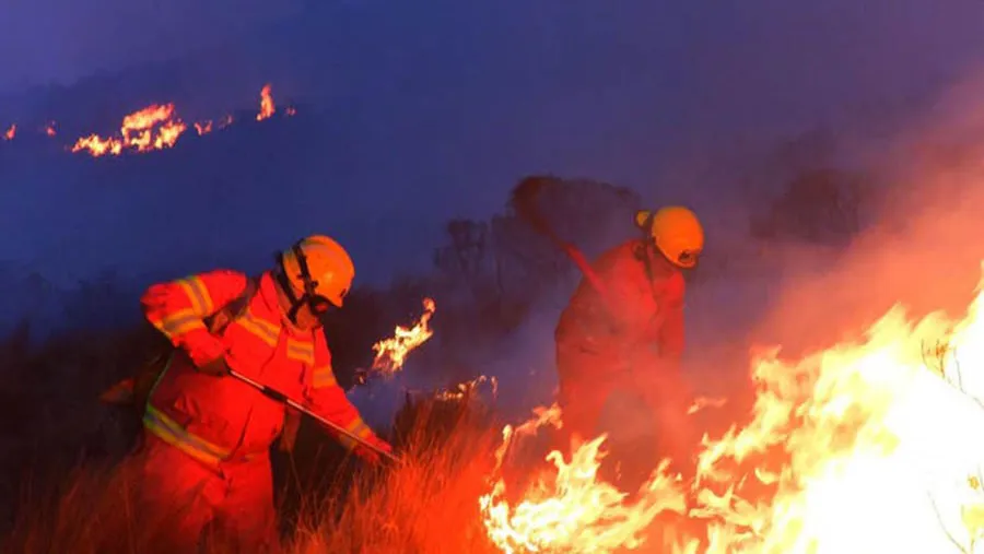 El frente del incendio continúa siendo de ocho kilómetros y el fuego ahora avanza hacia Villa Giardino. El frente del incendio continúa siendo de ocho kilómetros y el fuego ahora avanza hacia Villa Giardino.