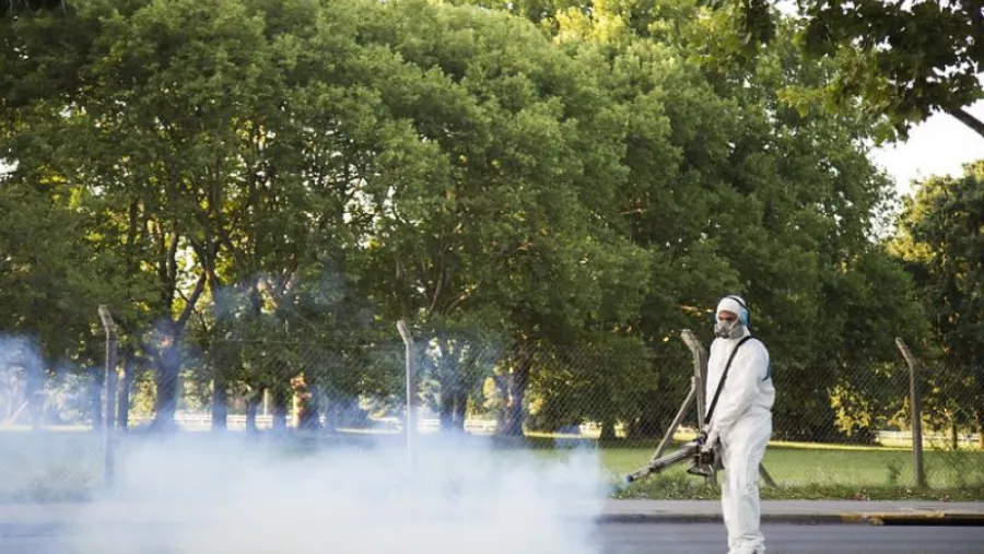 dengue dengue