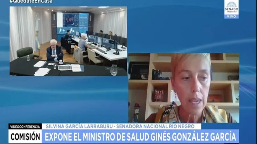 Ginés González García en videoconferencia con senadores Ginés González García en videoconferencia con senadores