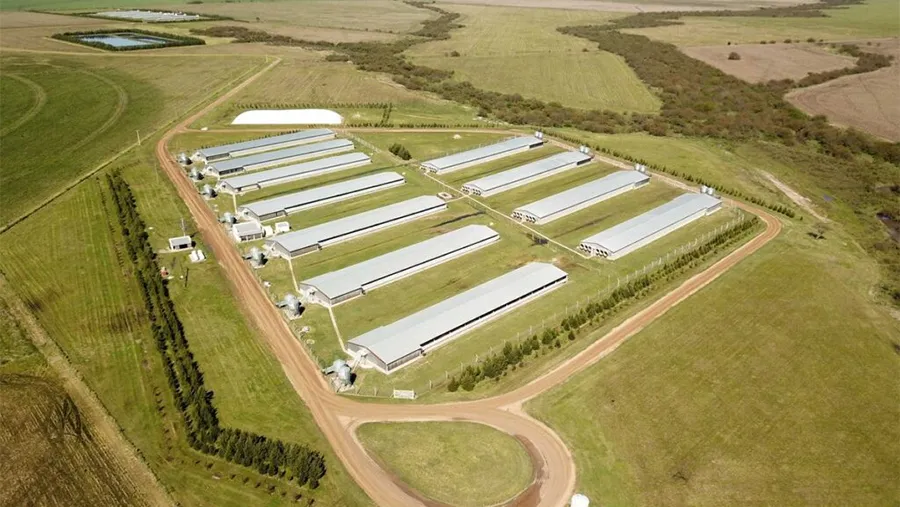 En el ámbito nacional, la provincia ocupa el cuarto puesto en producción de porcinos, detrás de Buenos Aires, Córdoba y Santa Fe. En el ámbito nacional, la provincia ocupa el cuarto puesto en producción de porcinos, detrás de Buenos Aires, Córdoba y Santa Fe.