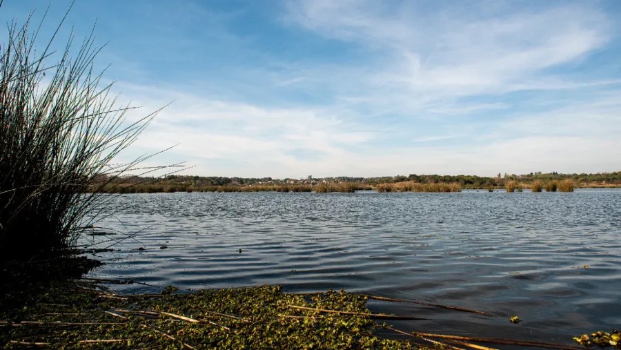 Realizarán en Paraná una actividad este miércoles por el Día Mundial de los Humedales Realizarán en Paraná una actividad este miércoles por el Día Mundial de los Humedales