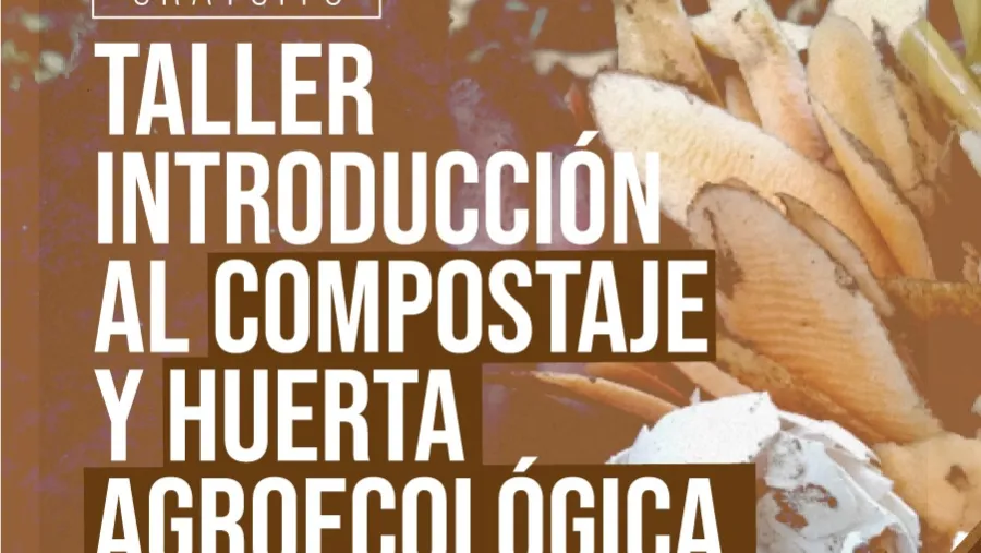 Taller Taller