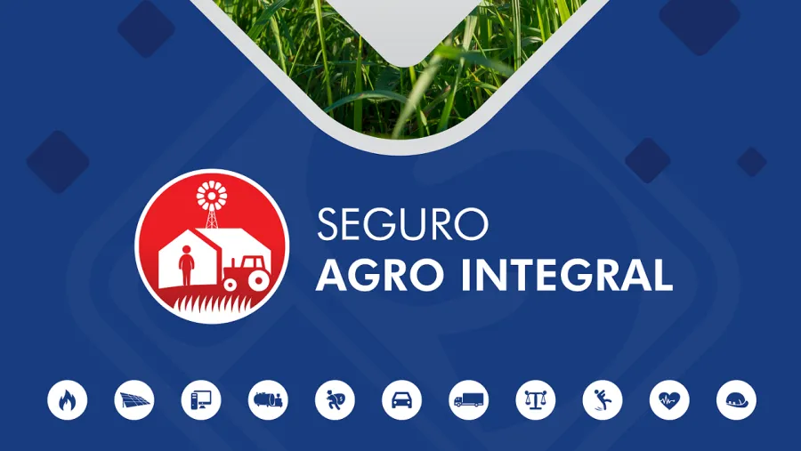 Seguro Seguro