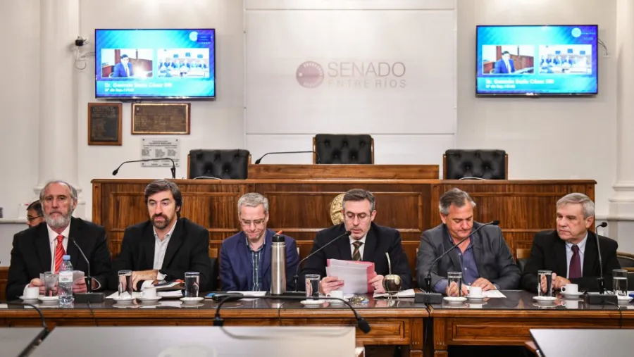 audiencia pública audiencia pública