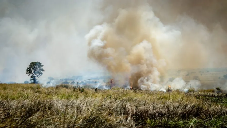 Incendios Incendios