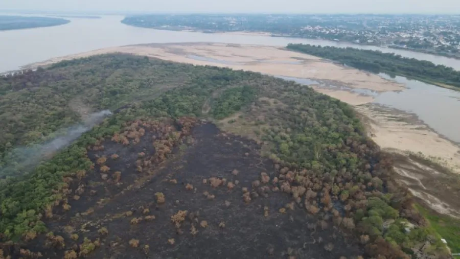 Advirtieron que el incendio en la Isla Puente “arrasó con todo lo que es vida” Advirtieron que el incendio en la Isla Puente “arrasó con todo lo que es vida”