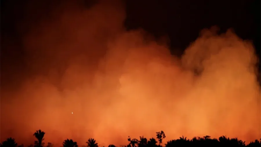 incendio Amazonas