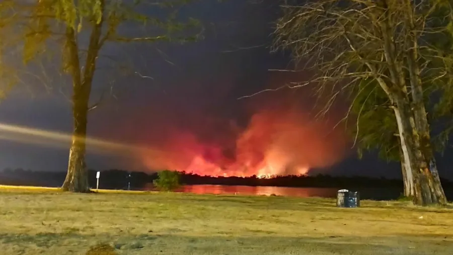 La Municipalidad de Paraná presentó la denuncia penal por el incendio en la isla Puente La Municipalidad de Paraná presentó la denuncia penal por el incendio en la isla Puente