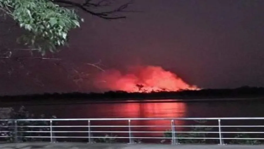 Ordenaron pericias por el incendio en la Isla Puente Ordenaron pericias por el incendio en la Isla Puente