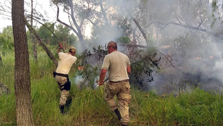 incendio islas incendio islas