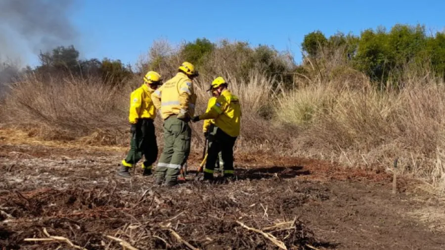 Incendios: diputados de JxC piden saber cómo se usó el Fondo Nacional del Manejo del Fuego Incendios: diputados de JxC piden saber cómo se usó el Fondo Nacional del Manejo del Fuego