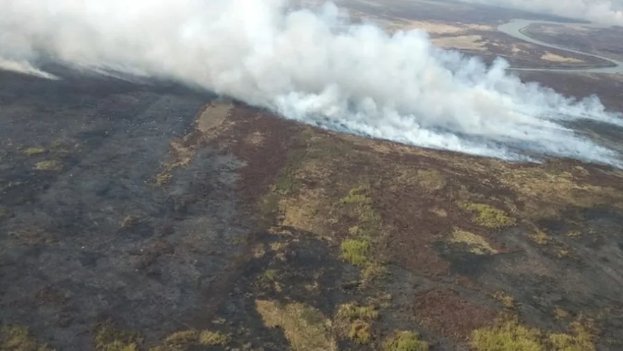 El texto prohíbe por 60 años los cambios en la utilización del suelo en los bosques nativos, áreas protegidas y humedales incendiados para intentar recuperarlos. El texto prohíbe por 60 años los cambios en la utilización del suelo en los bosques nativos, áreas protegidas y humedales incendiados para intentar recuperarlos.