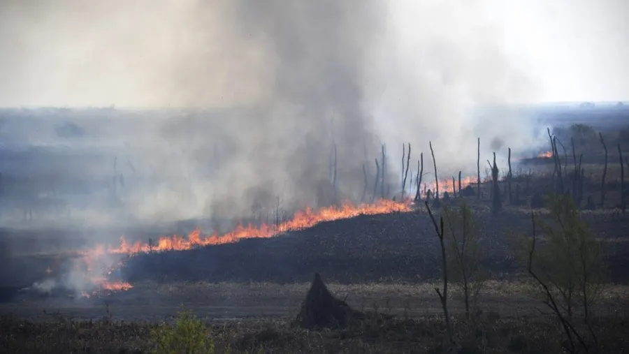 Incendios Incendios