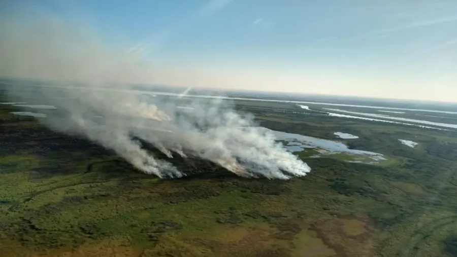 Nación presentó una denuncia sobre incendios en el Delta ante la Justicia entrerriana Nación presentó una denuncia sobre incendios en el Delta ante la Justicia entrerriana