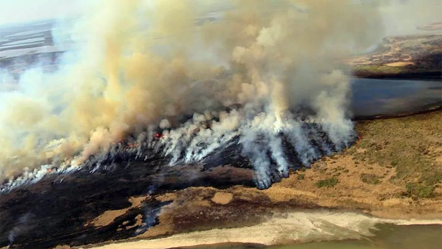 Imagen de archivo de incendios en la zona de islas de Victoria. La impunidad es lo que prevalece. Imagen de archivo de incendios en la zona de islas de Victoria. La impunidad es lo que prevalece.
