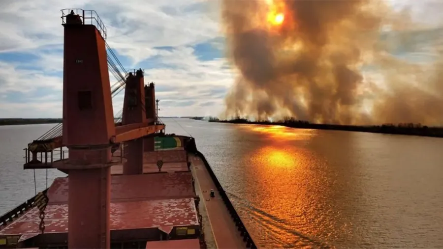 “La mortalidad es casi total, sobre todo de reptiles, anfibios y mamíferos”, indicó Ivo Peruggino, en relación a los incendios descontrolados en la zona de islas del Delta sobre el río Paraná. “La mortalidad es casi total, sobre todo de reptiles, anfibios y mamíferos”, indicó Ivo Peruggino, en relación a los incendios descontrolados en la zona de islas del Delta sobre el río Paraná.