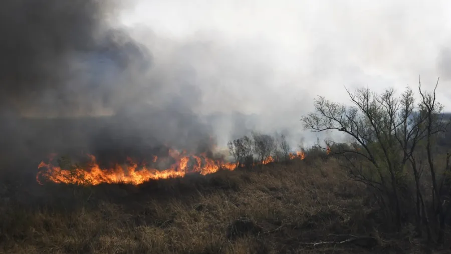 Nación advirtió que existen condiciones para que este año ocurran incendios en el Delta Nación advirtió que existen condiciones para que este año ocurran incendios en el Delta